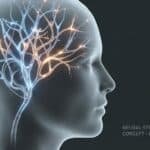 braintech-live-brain-plasticity